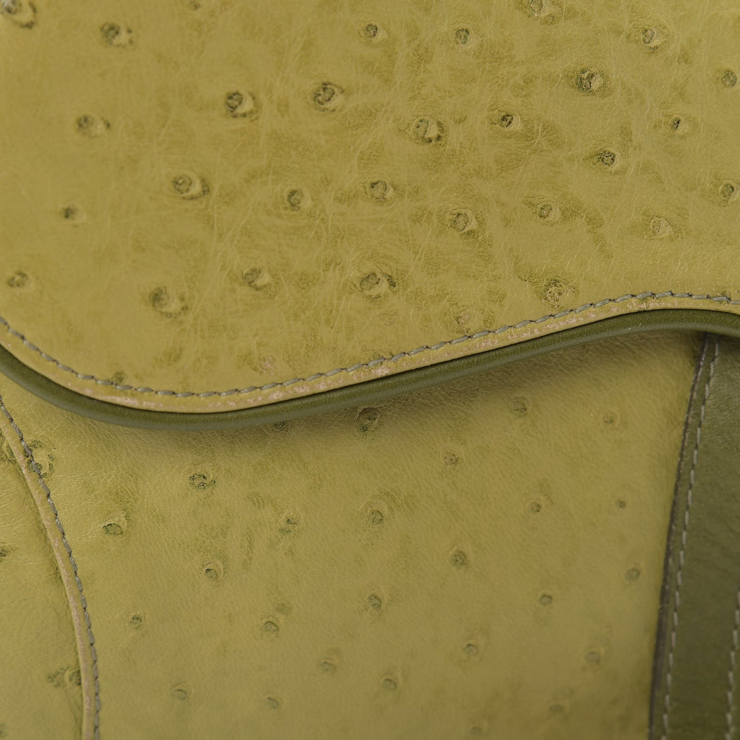 Ostrich Saddle Bag Green