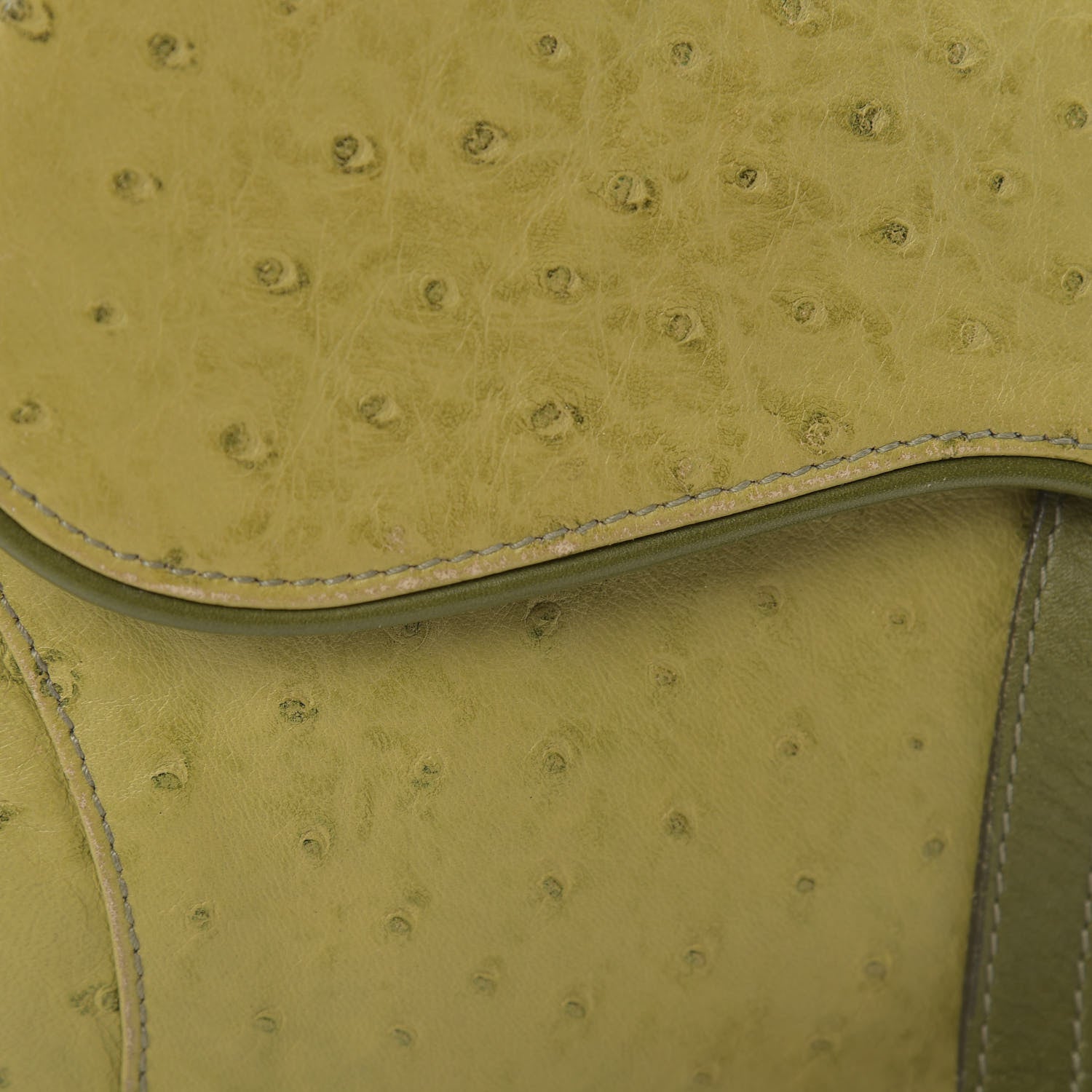 Christian Dior Ostrich Saddle Bag Green 12 of 19