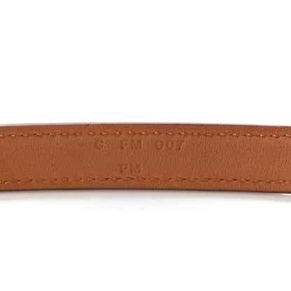 Hermes Swift 16mm Mini Dog Carres Bag Strap Gold 4 of 6