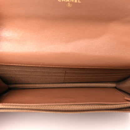 Chanel Lambskin Quilted Chanel 19 Wallet On Chain WOC Brown 5 of 12
