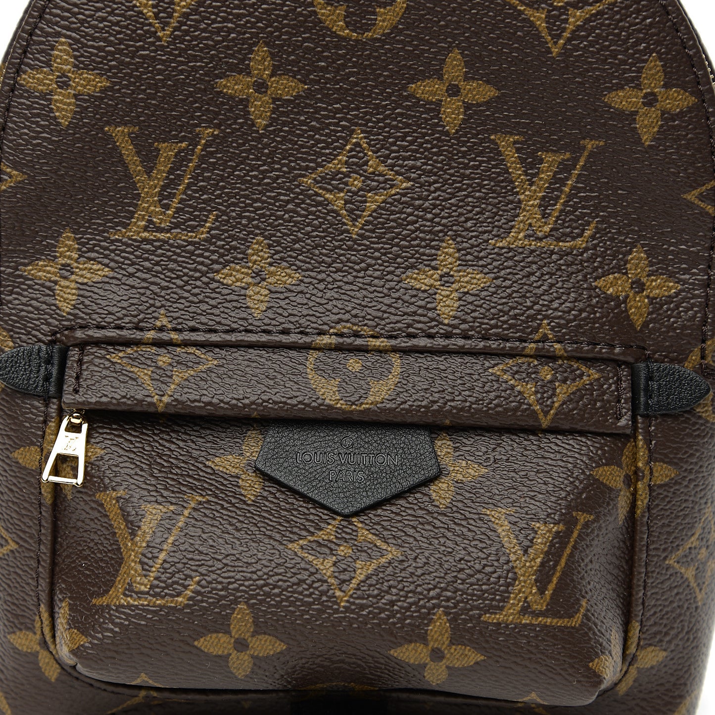 Monogram Palm Springs Backpack Mini