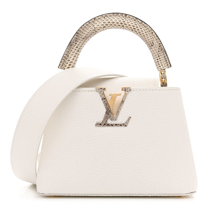Louis Vuitton Taurillon Ayers Capucines Mini White Snow White 1 of 10