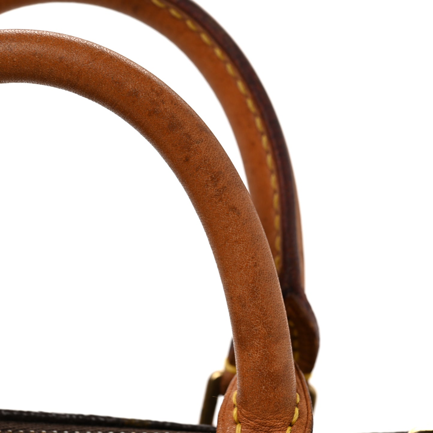 Monogram Mini Sac HL Speedy