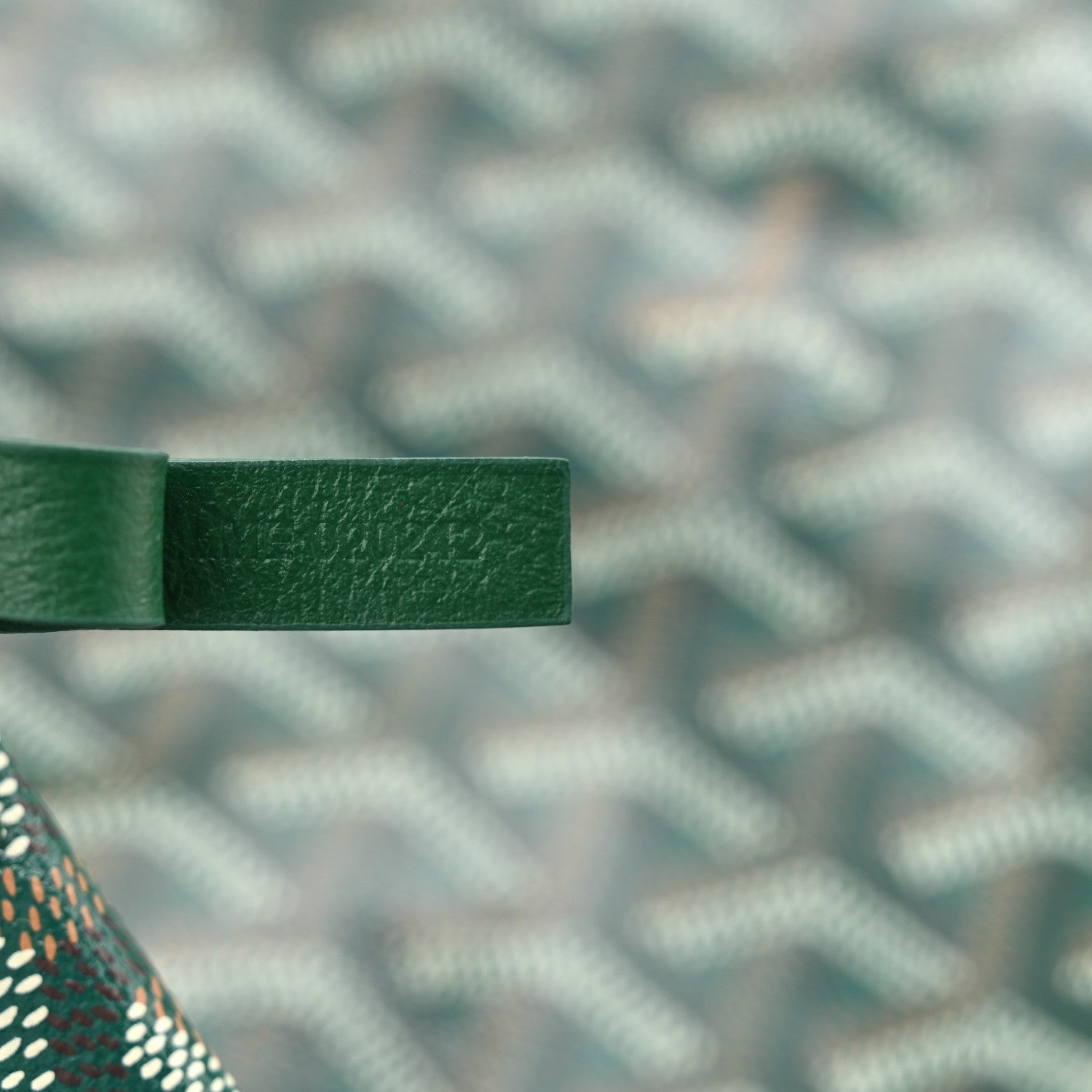 Goyard Goyardine Saint Louis PM Green 8 of 11