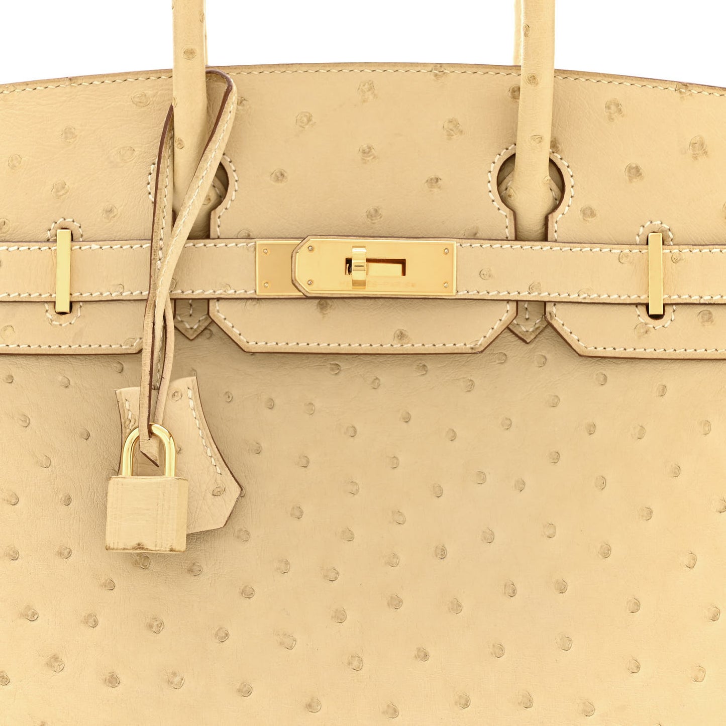 Ostrich Birkin 30 Parchemin