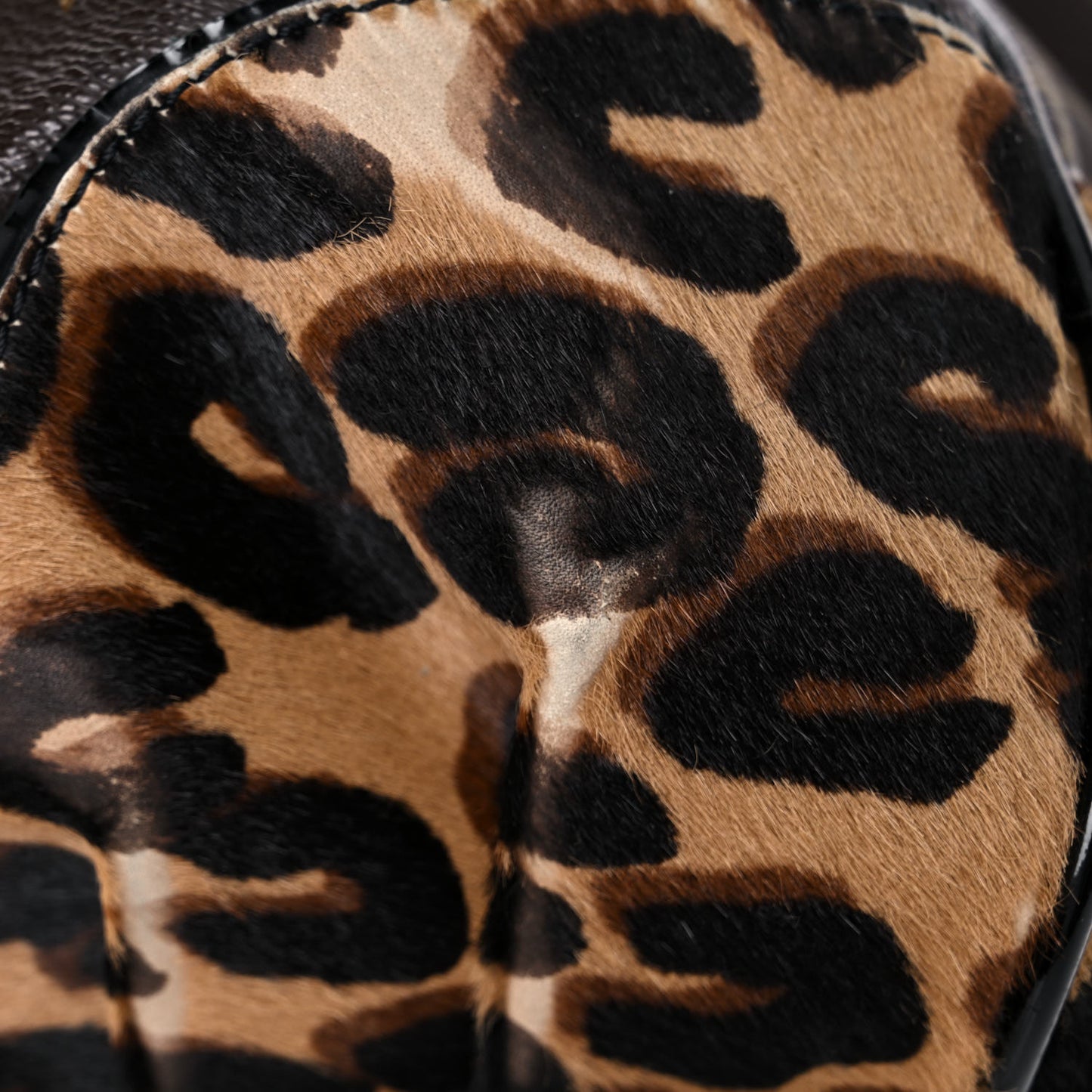 Monogram Leopard Stephen Bag