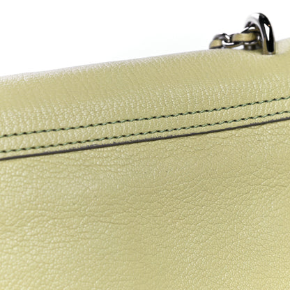 Mulberry Glossy Goatskin Small Lily Flap Pistachio 21 of 22