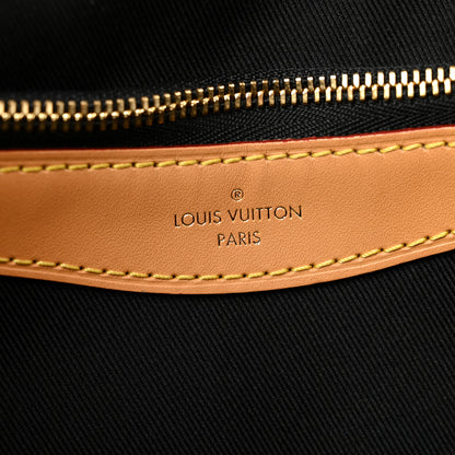 Louis Vuitton Monogram Diane 6 of 13