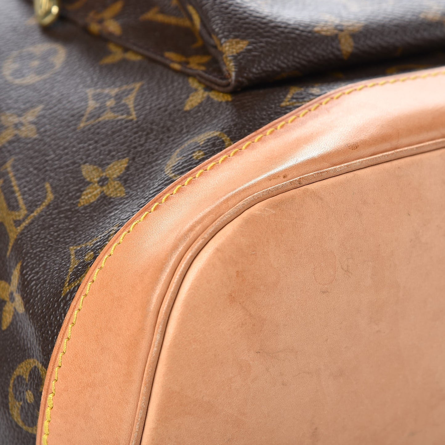 Monogram Montsouris GM Backpack
