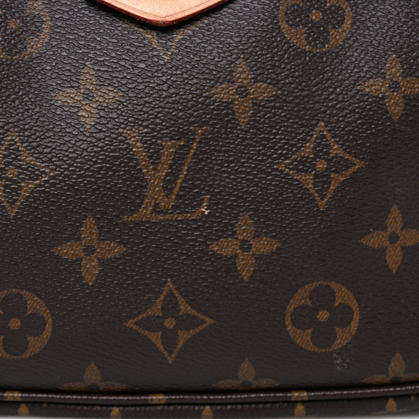 Monogram Multi Pochette Accessories Large Pochette