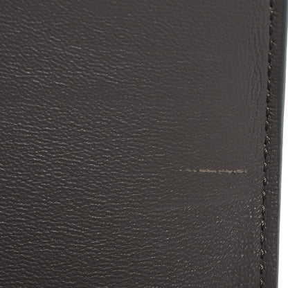 Celine Shiny Calfskin Medium Triomphe Pebble 15 of 17