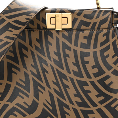 Fendi X SARAH COLEMAN Vitello Liberty Shiny Nappa Plexiglass FF Vertigo Mini Peekaboo Iconic Satchel 9 of 11