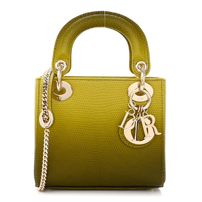 Christian Dior Lizard Gradient Mini Lady Dior Yellow Dark Green 1 of 10