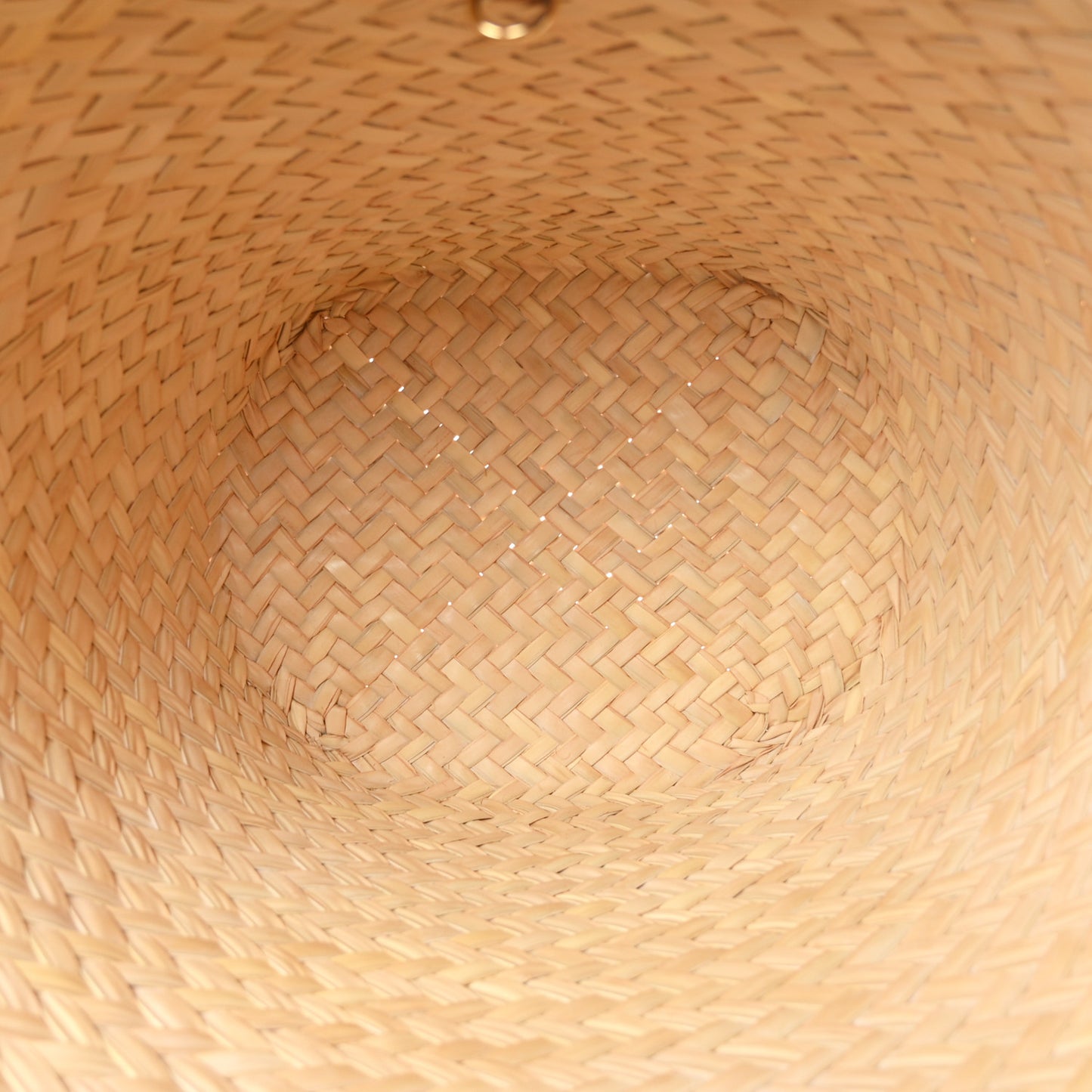 Palm Leaves Rivage GM Brown