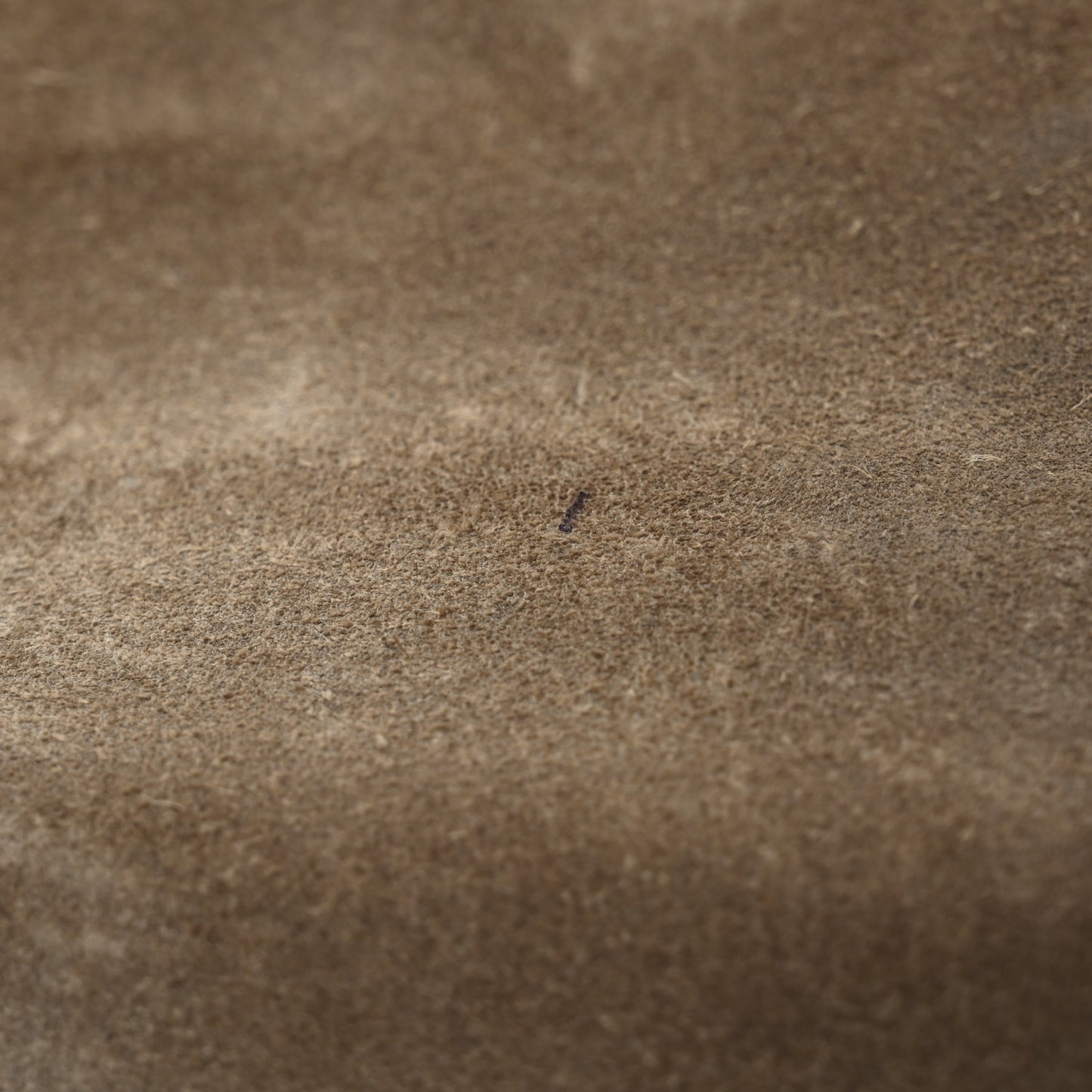 GG Supreme Monogram Mini Dionysus Shoulder Bag Taupe