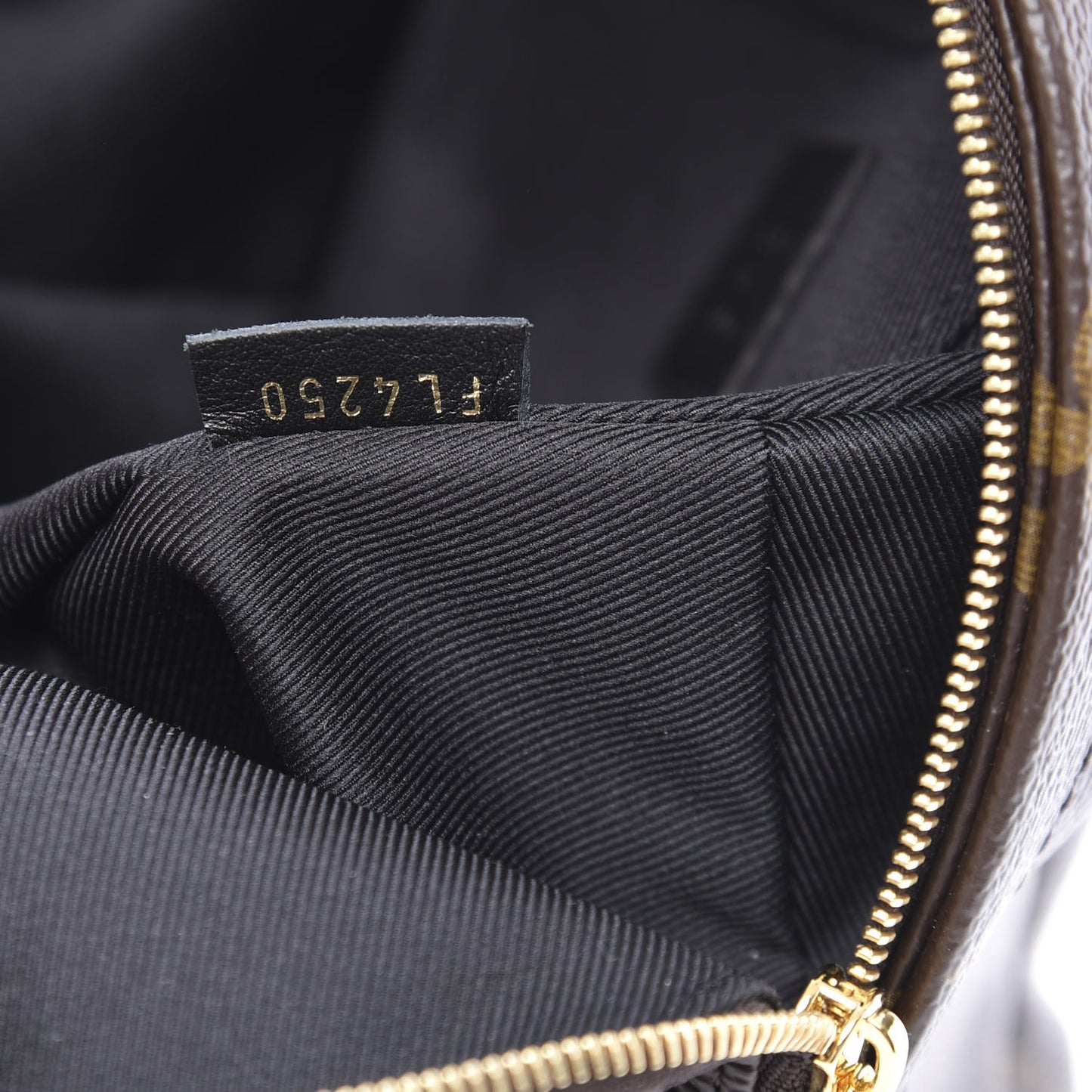 Monogram Palm Springs Backpack Mini