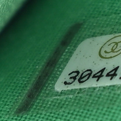 Chanel Lambskin Quilted Chanel 19 Wallet On Chain WOC Green 8 of 12