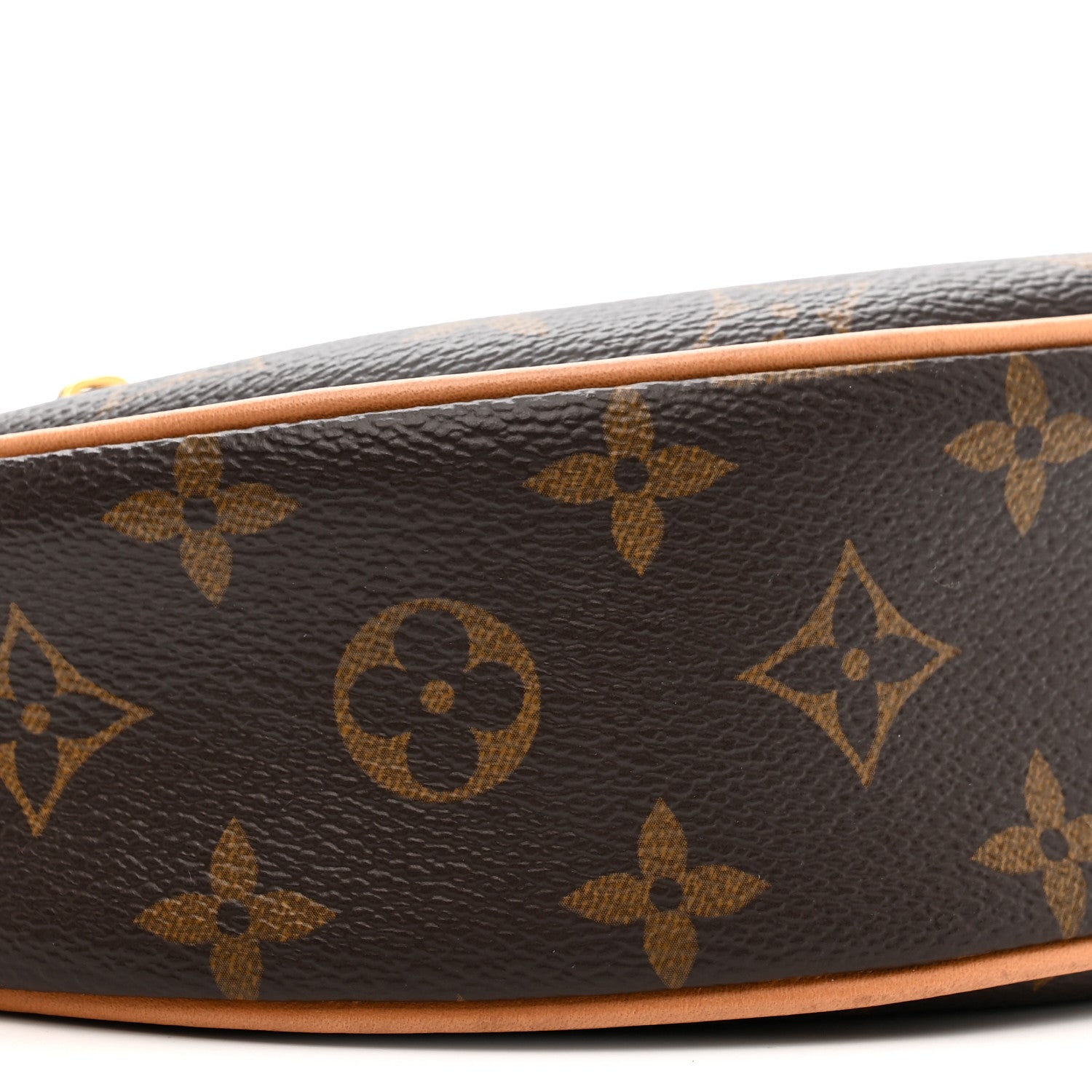 Louis Vuitton Monogram Loop 8 of 11