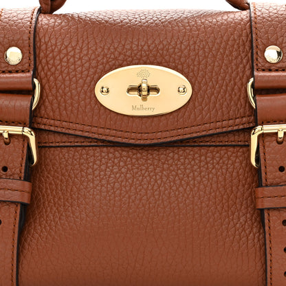 Mulberry Heavy Grain Mini Alexa Chestnut 9 of 11