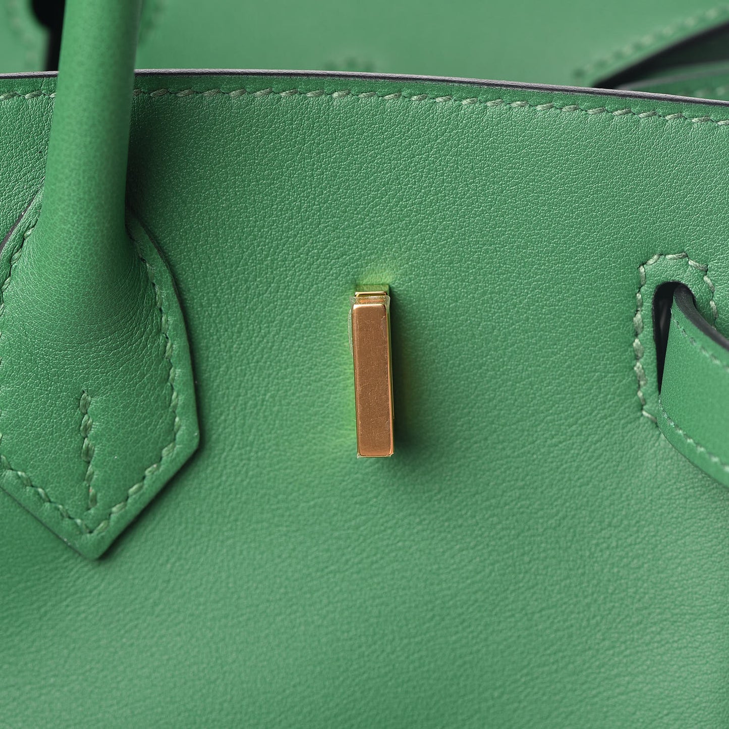Swift Birkin 25 Cactus