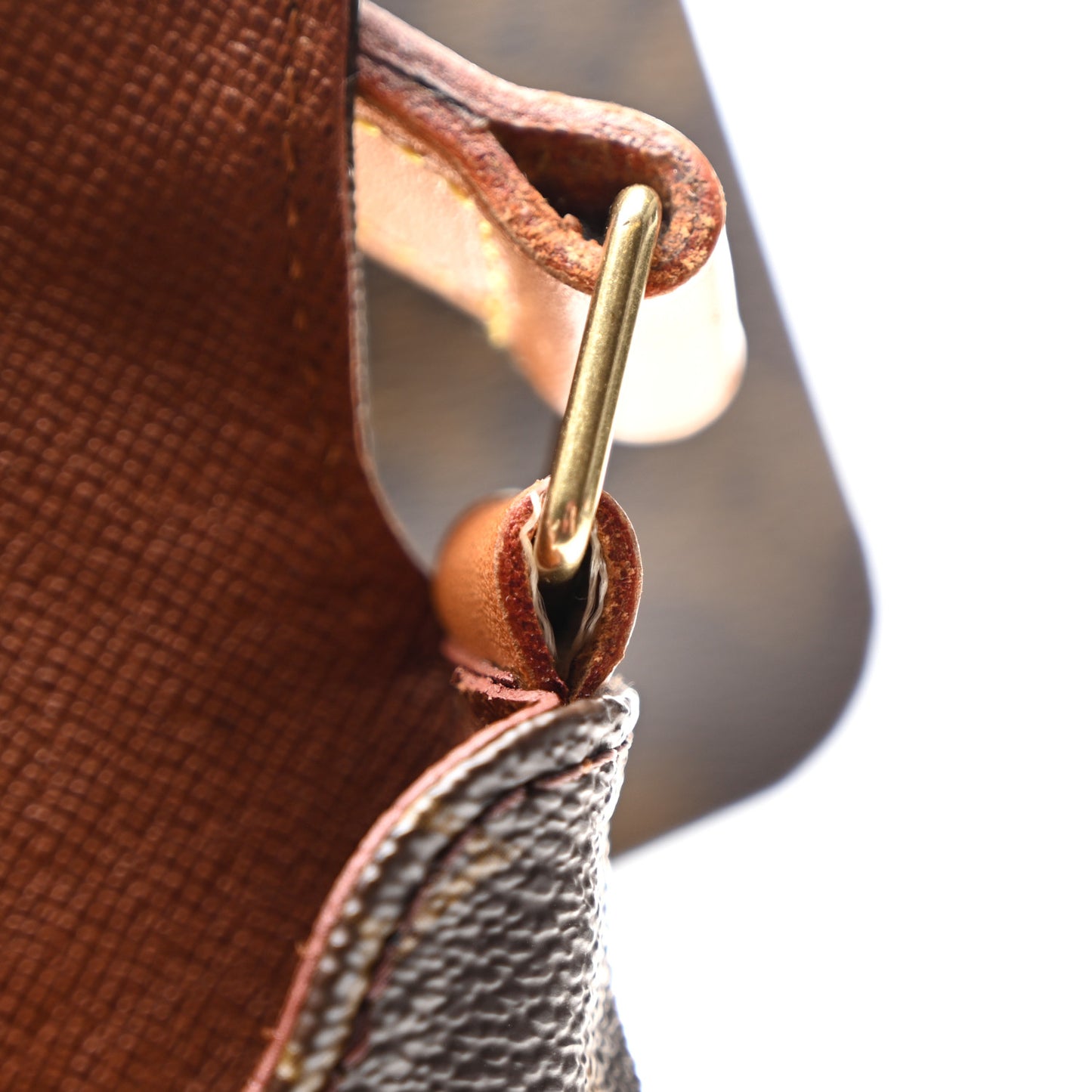 Monogram Musette Salsa