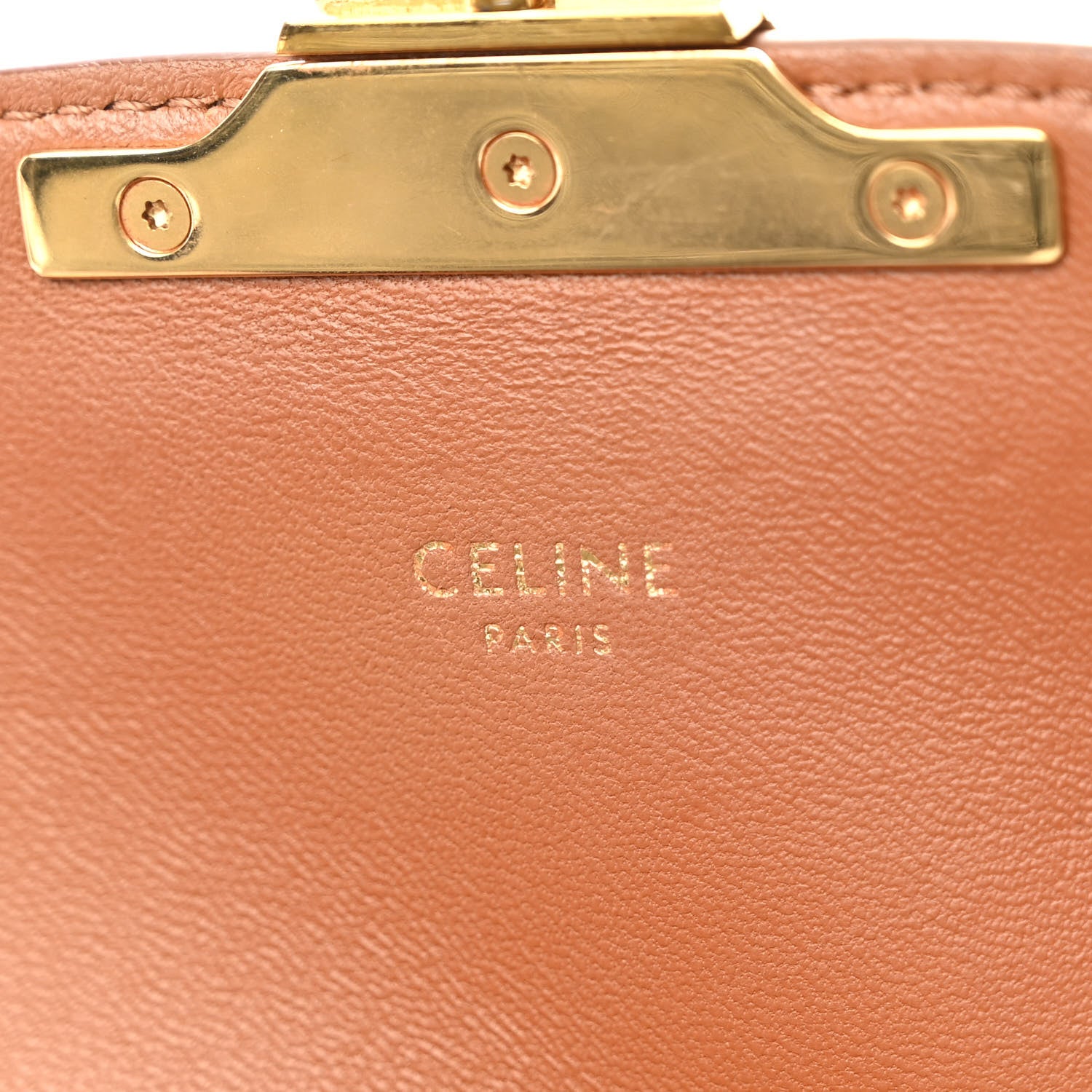 Celine Canvas Calfskin Triomphe Embroidered Teen Triomphe Bag Fox Red 6 of 12