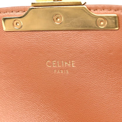 Celine Canvas Calfskin Triomphe Embroidered Teen Triomphe Bag Fox Red 6 of 12