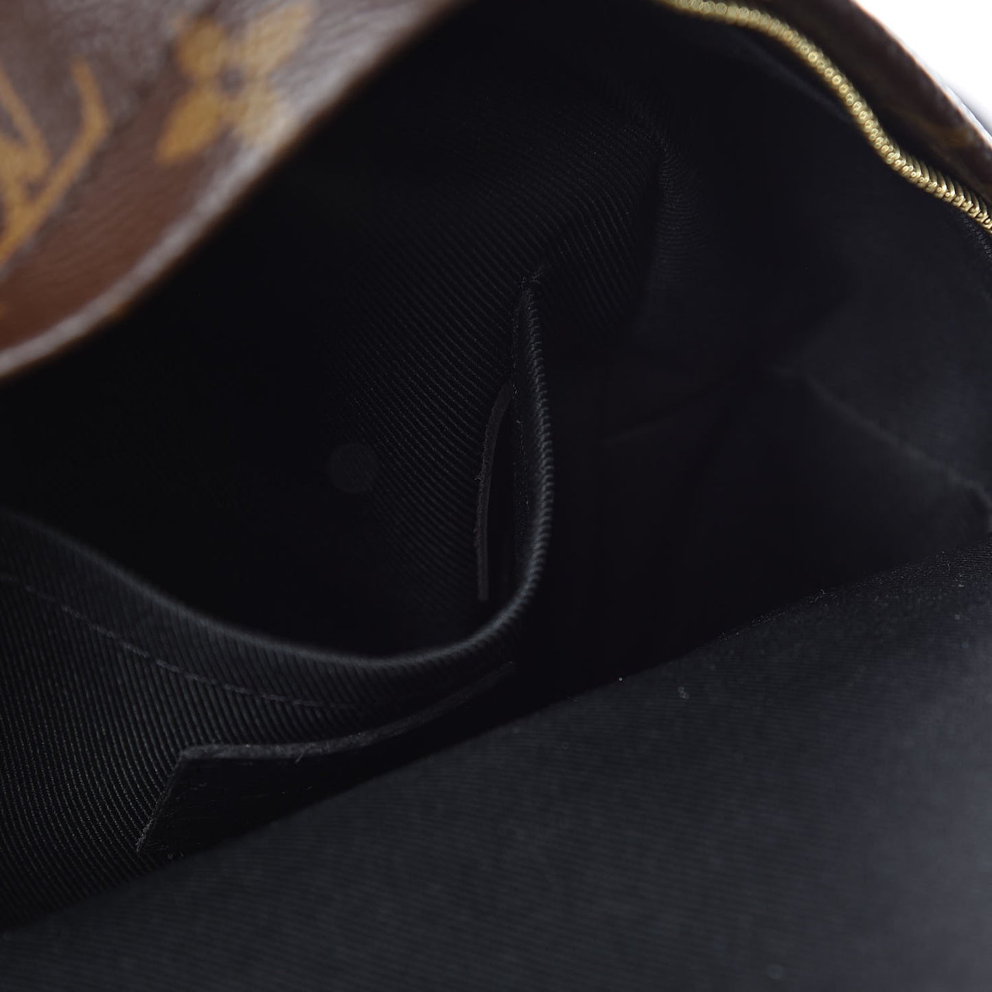 Monogram Palm Springs Backpack Mini