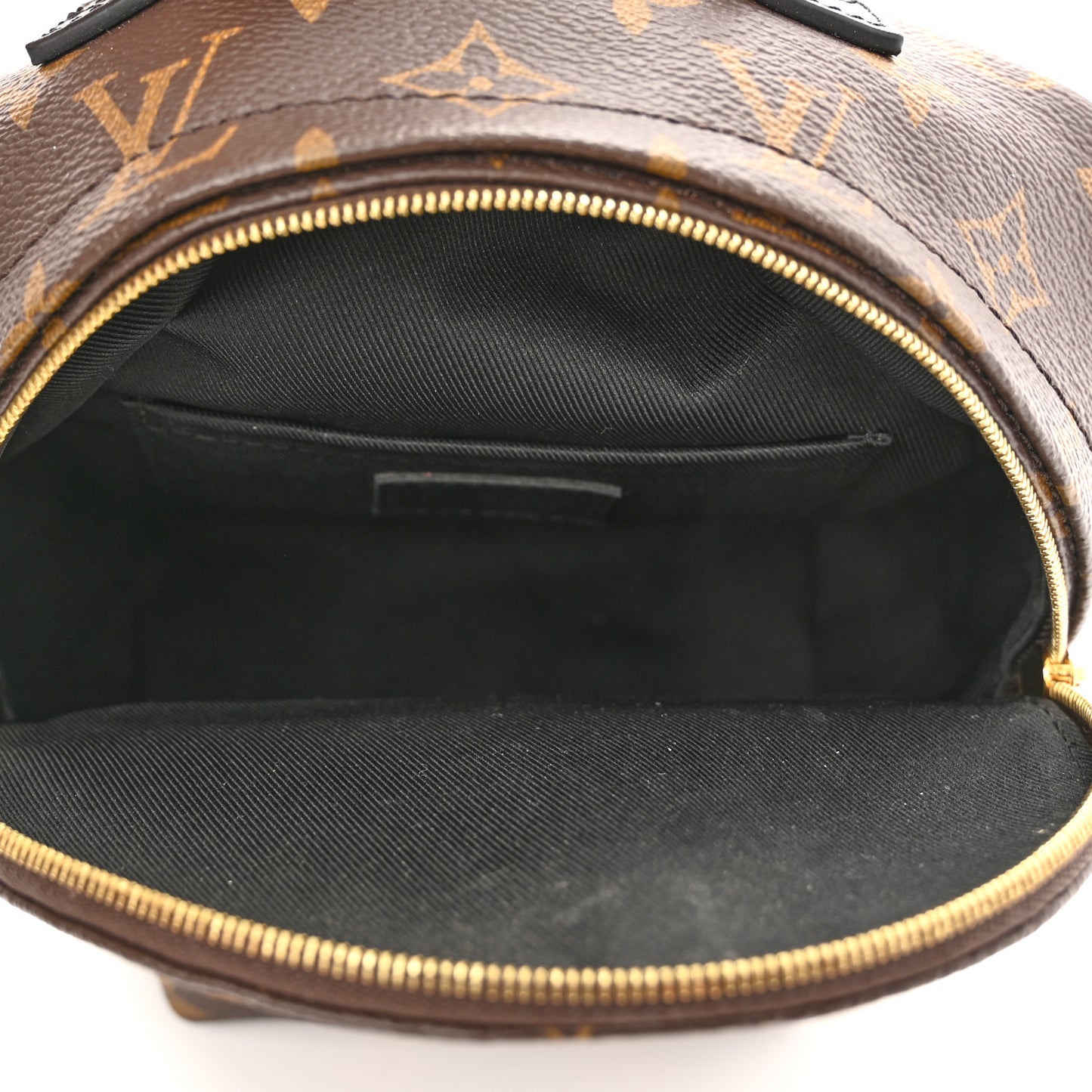 Monogram Palm Springs Backpack Mini