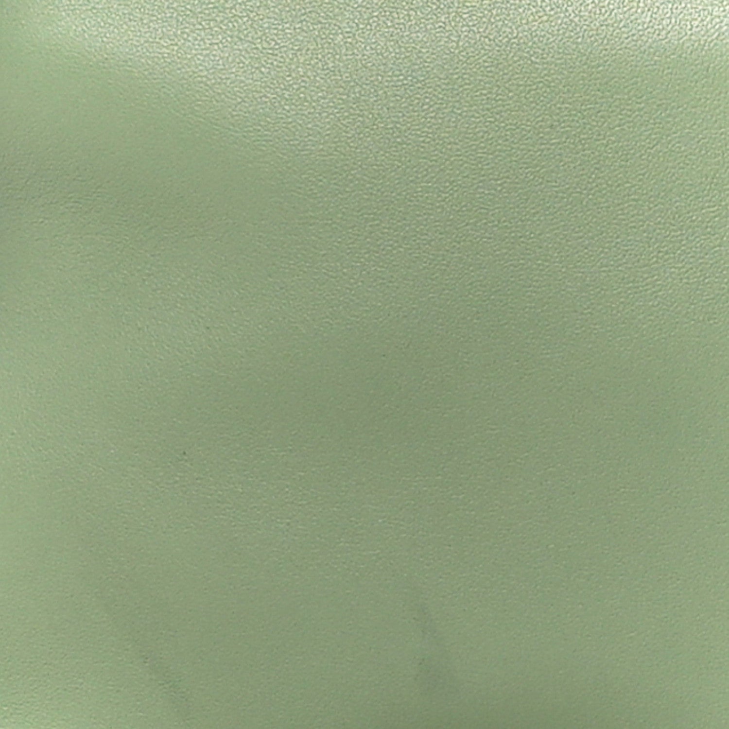 Loewe Calfskin Mini Flamenco Knot Clutch Rosemary 9 of 11