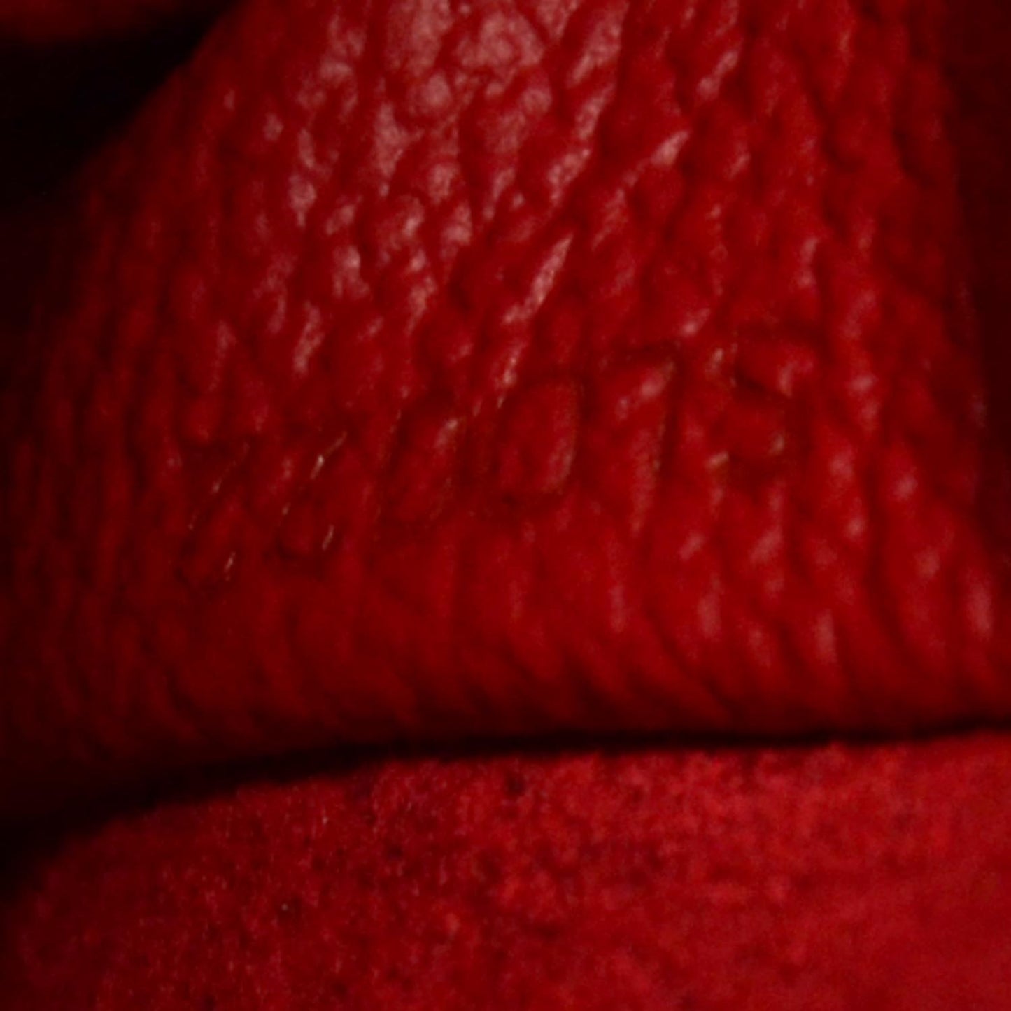 Sharon Stone Amfar Three Vanity Shoulder Bag