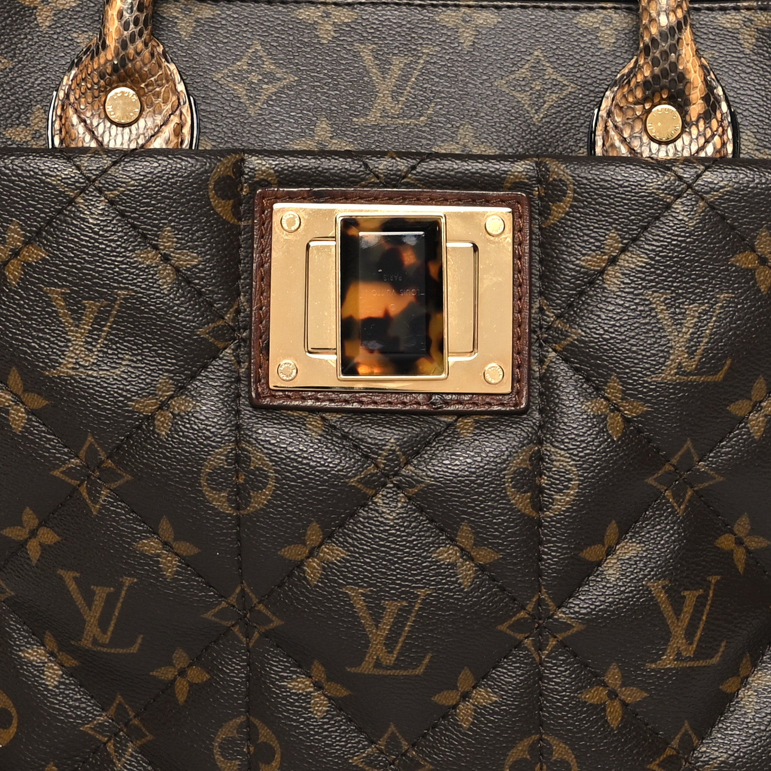 Louis Vuitton Monogram Etoile Exotique GM Miel 10 of 12