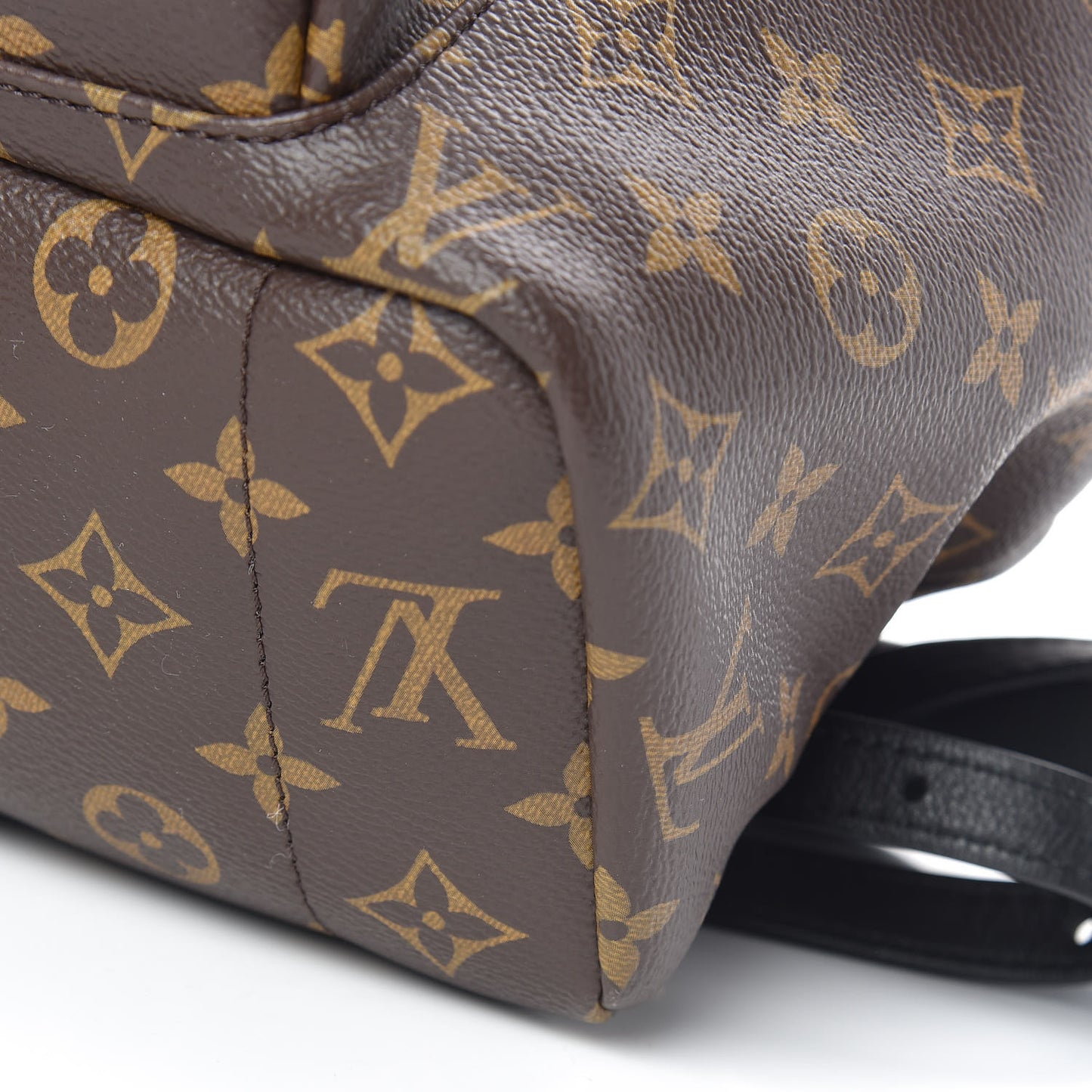 Monogram Palm Springs Backpack MM