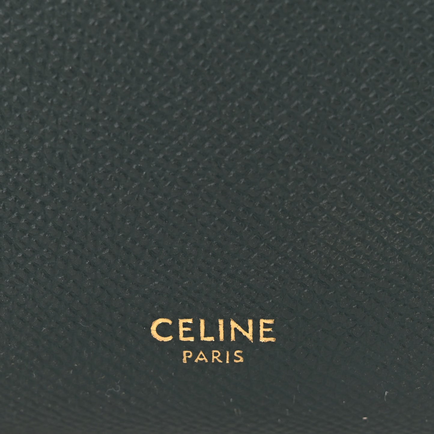 Grained Calfskin Pico Belt Bag Amazone
