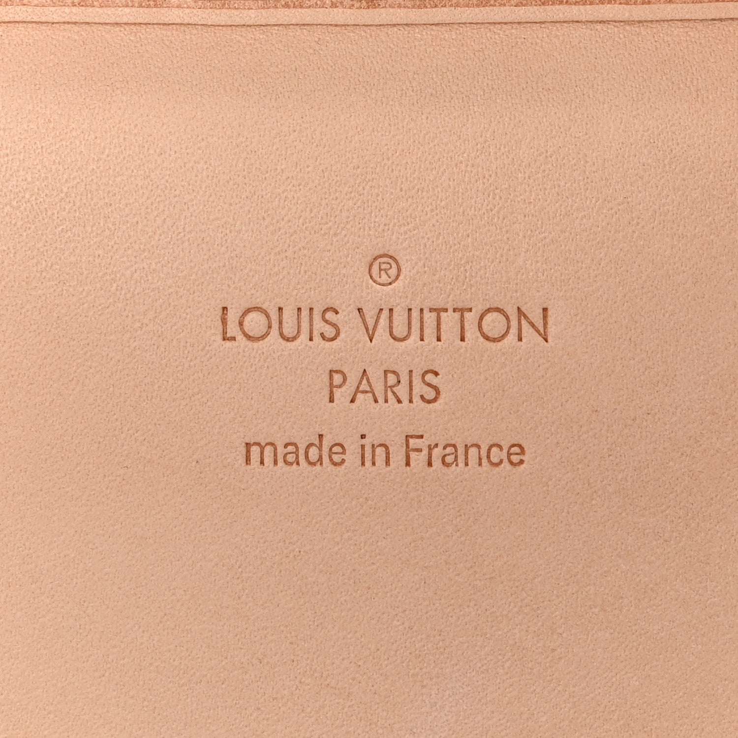 Louis Vuitton Monogram Garment Cover 2 Hangers 5 of 10