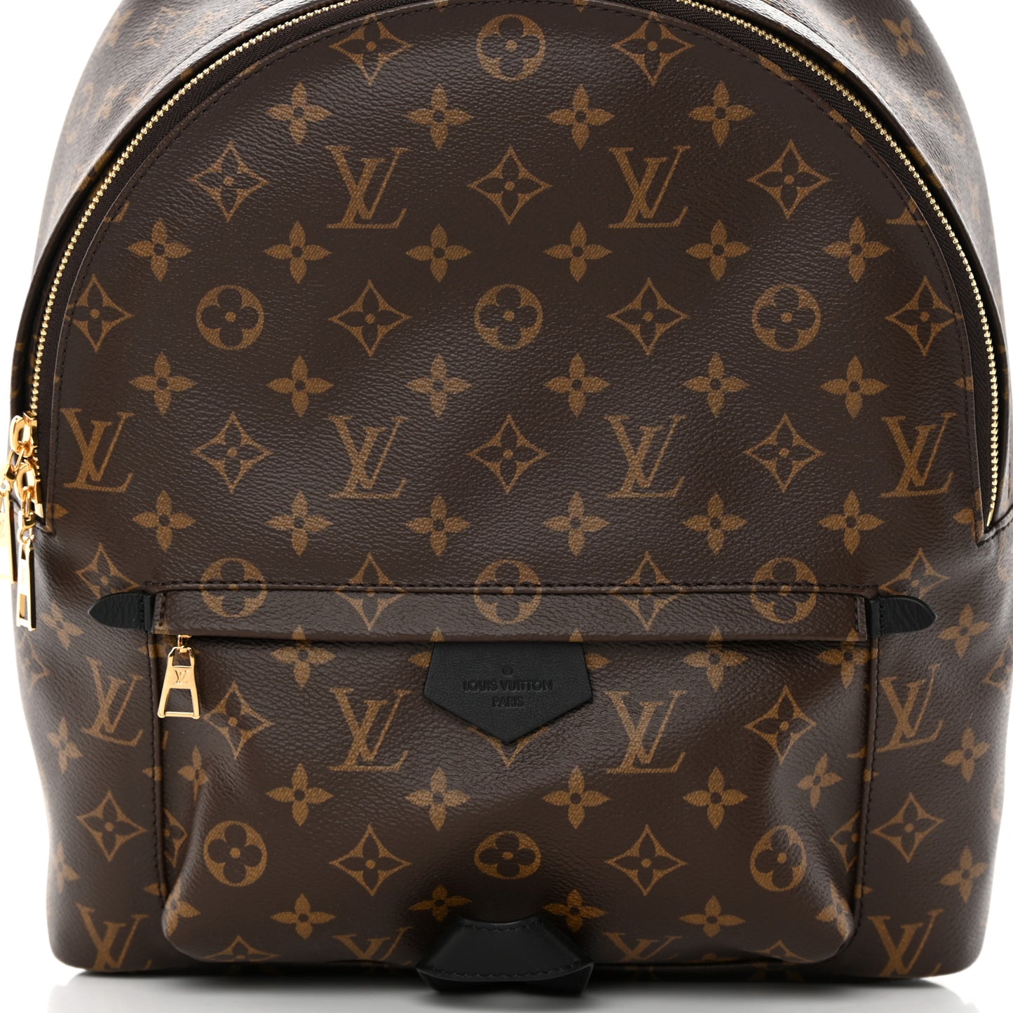Monogram Palm Springs Backpack MM