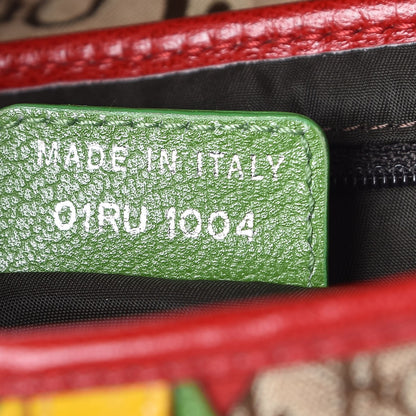 Christian Dior Monogram Rasta Saddle Bag Beige 7 of 7
