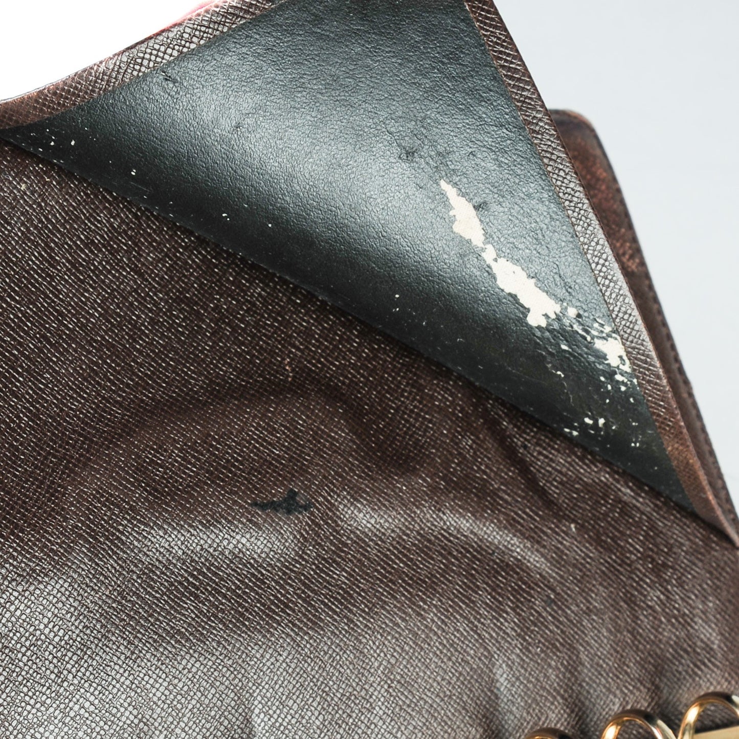 Damier Ebene Medium Ring Agenda Cover
