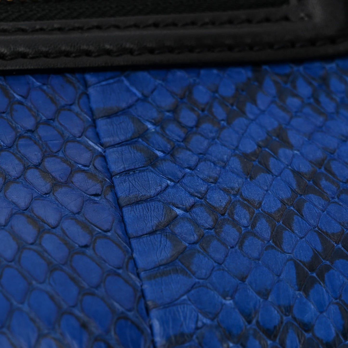 Snakeskin Smooth Calfskin Mini Tri-Color Luggage Blue Black White