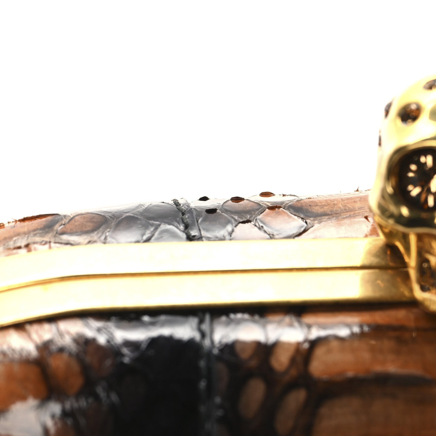 Python Skull Box Clutch Brown