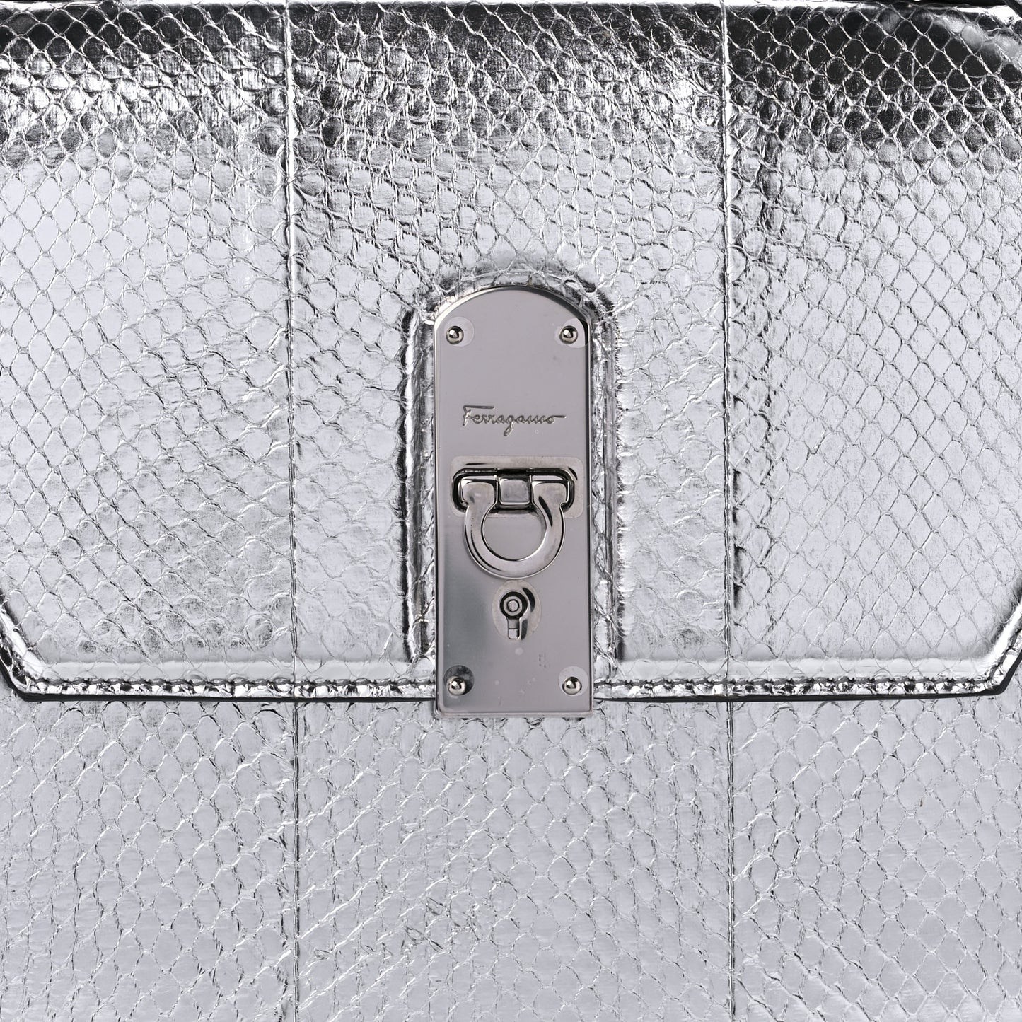 Metallic Snakeskin Medium Boxyz Silver