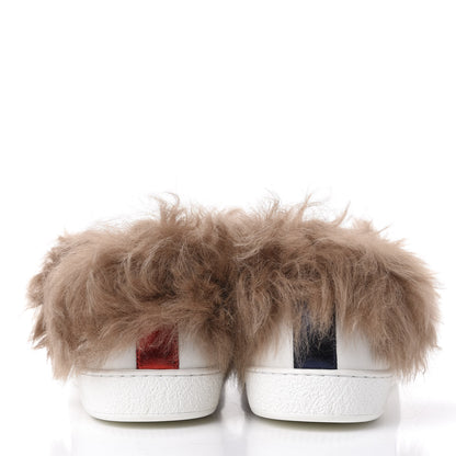 Gucci Calfskin Wool Web Bee Embroidered Mens Ace Sneakers 12 White 7 of 9