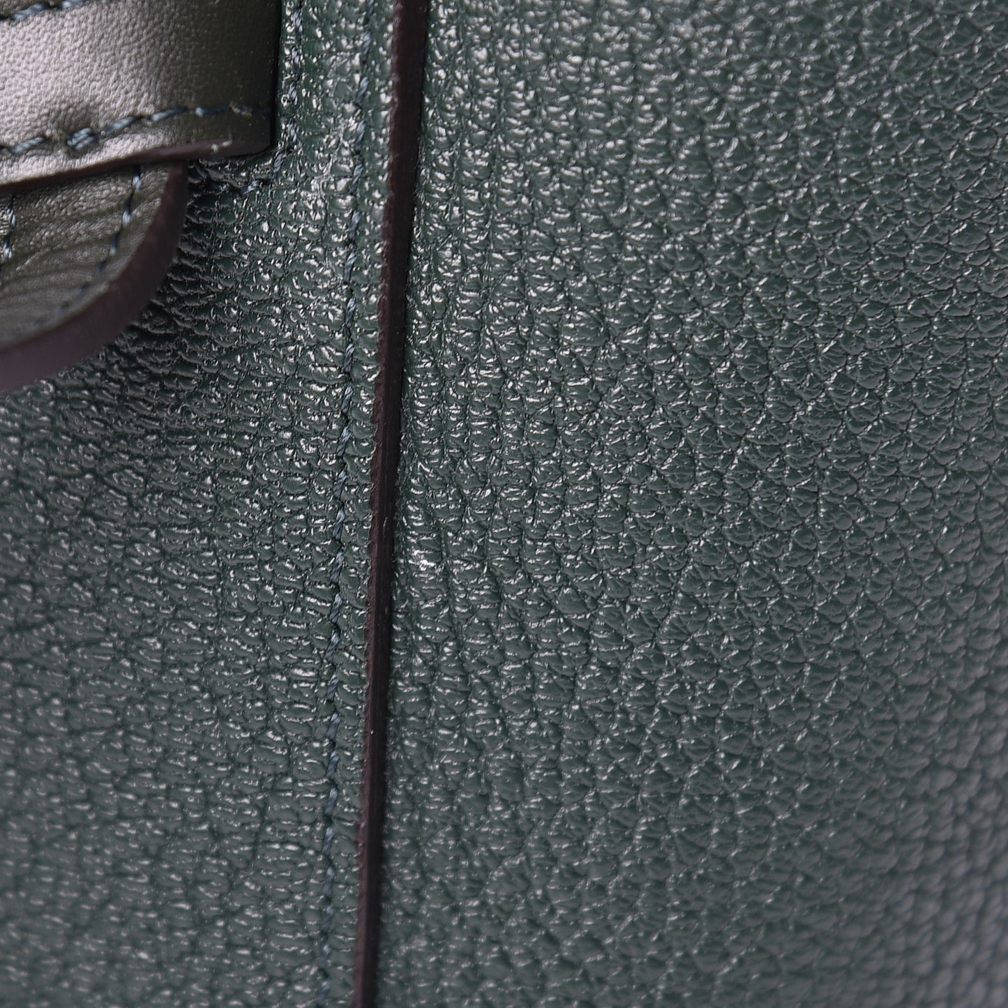 Goatskin Smooth Calfskin Mini Belt Bag Dark Green