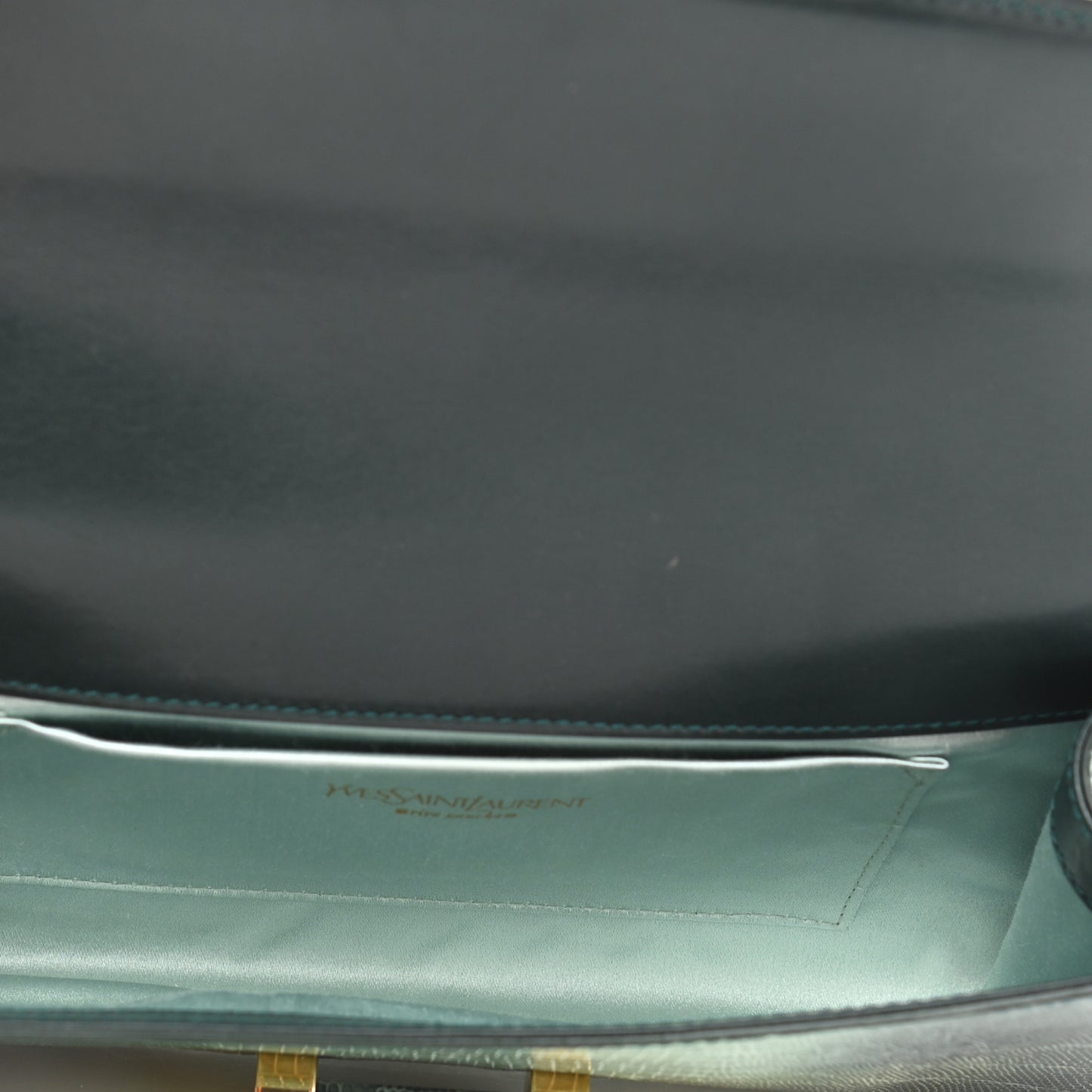 Ombre Lizard Muse Clutch Green