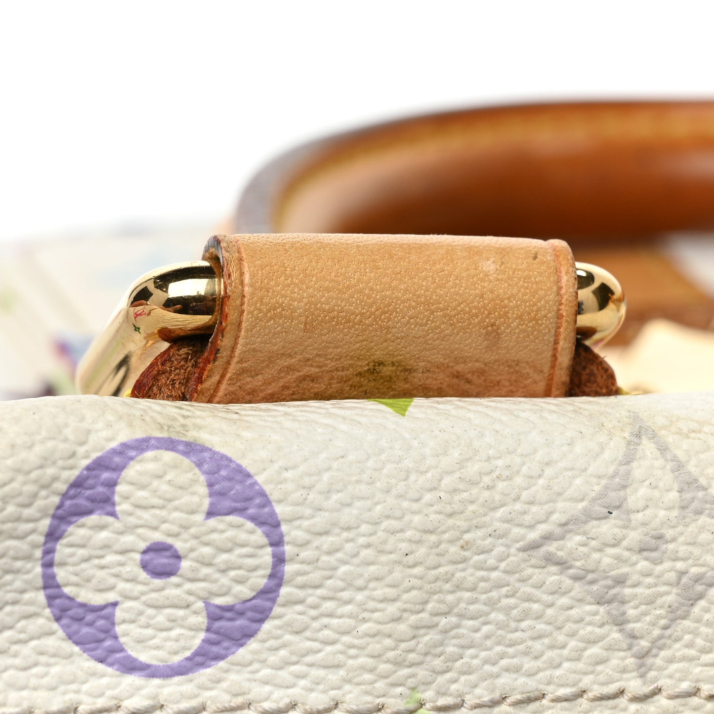 Monogram Multicolor Speedy 30 White