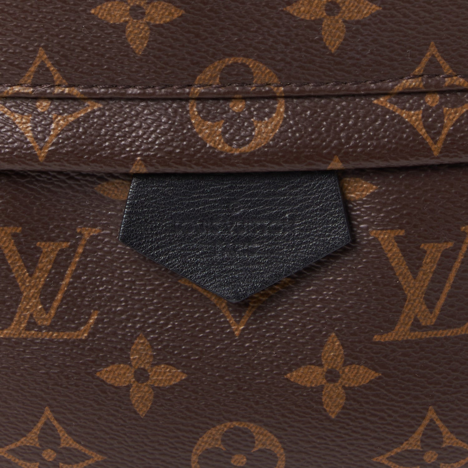 Louis Vuitton Monogram Palm Springs Backpack MM 6 of 9