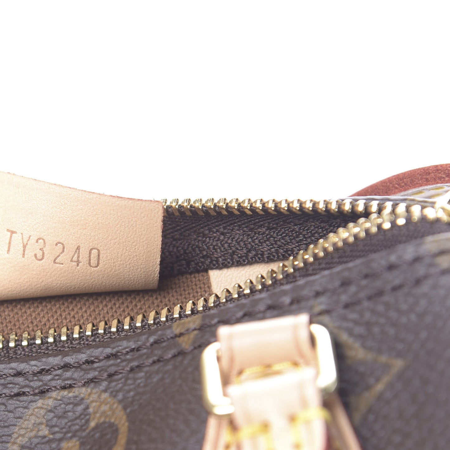Monogram Nano Speedy