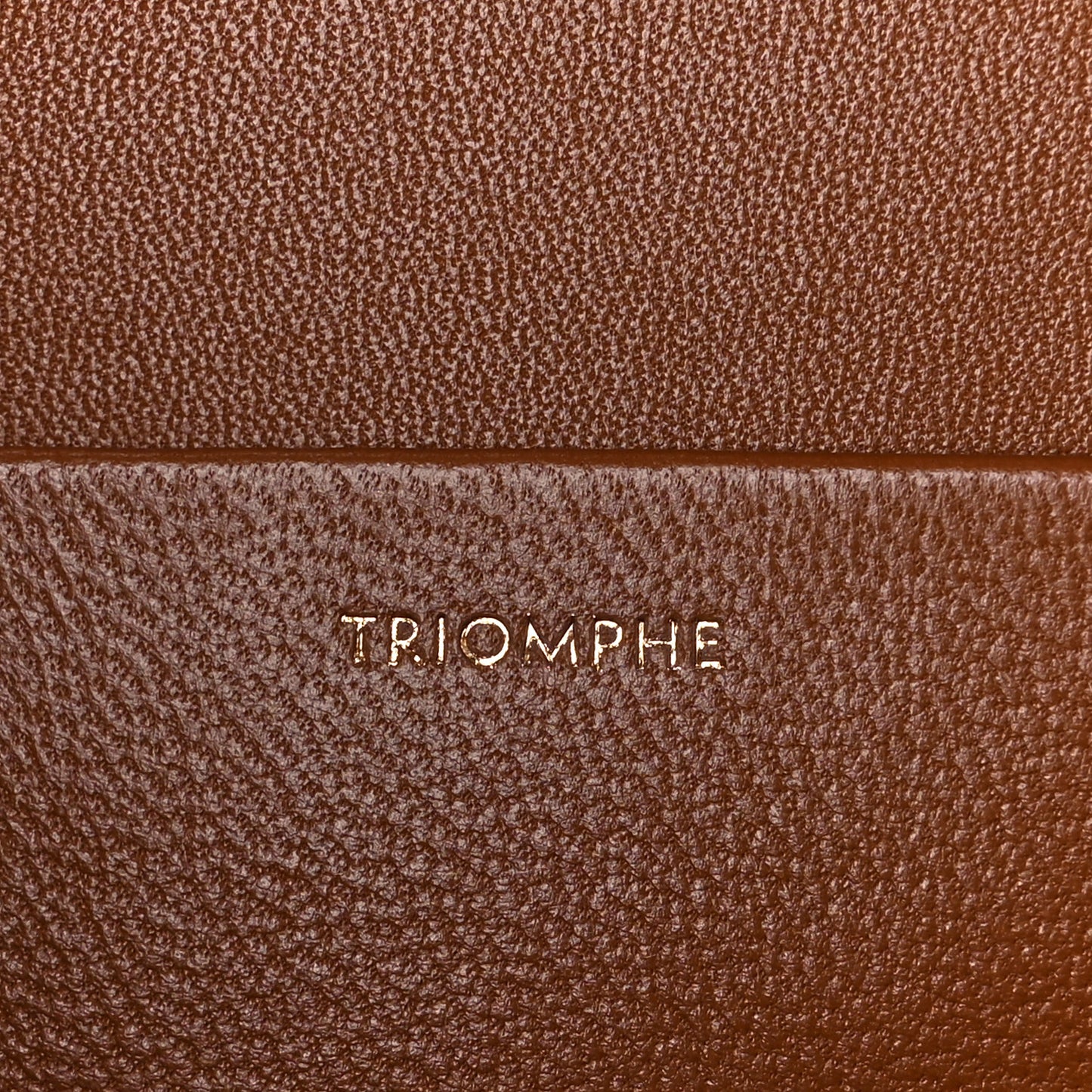 Textile Natural Calfskin Large Triomphe Tan White
