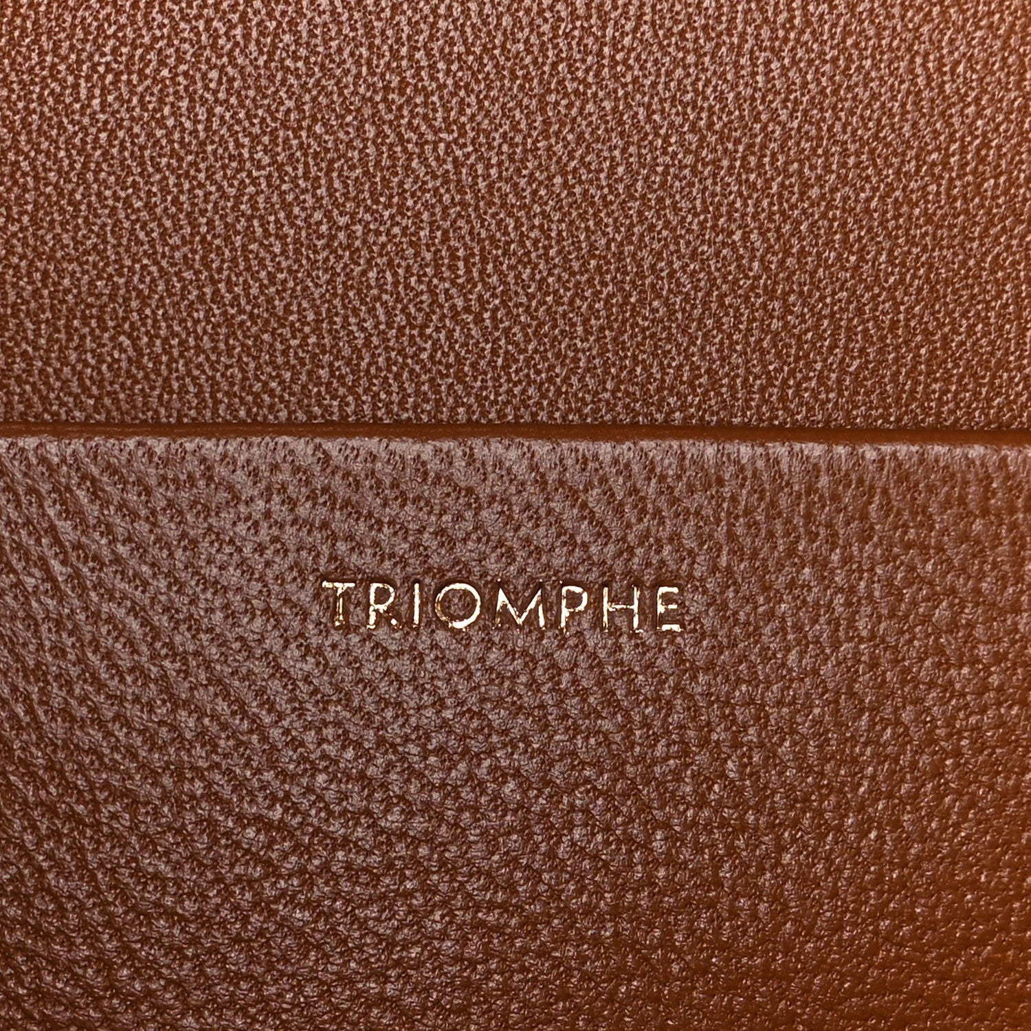 Celine Textile Natural Calfskin Large Triomphe Tan White 8 of 13