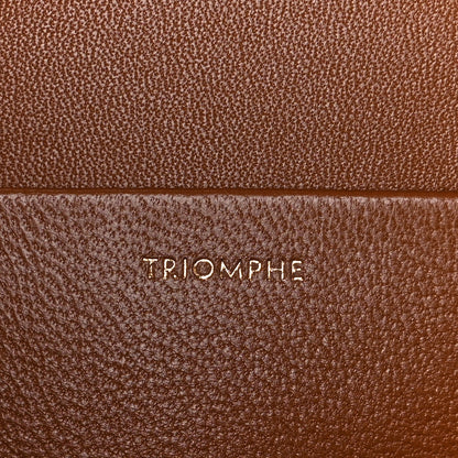 Celine Textile Natural Calfskin Large Triomphe Tan White 8 of 13